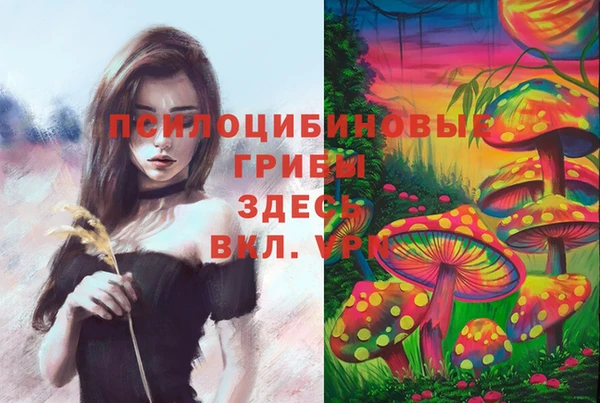COCAINE Снежногорск
